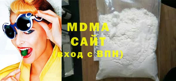 индика Гусев