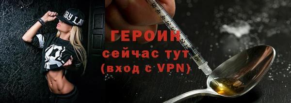индика Гусев