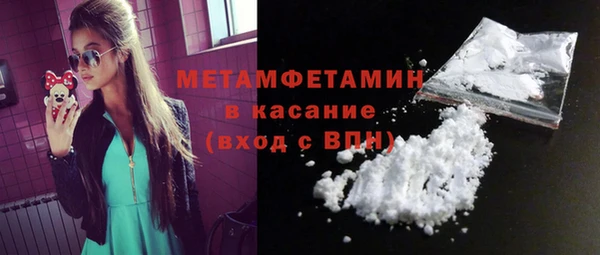 индика Гусев