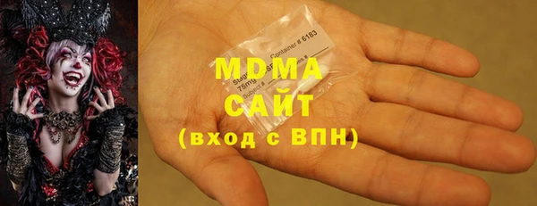 индика Гусев