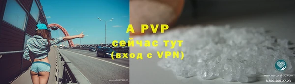 индика Гусев