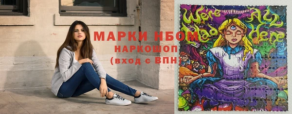 ГАЛЛЮЦИНОГЕННЫЕ ГРИБЫ Гусь-Хрустальный