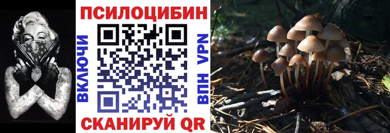 Галлюциногенные грибы ЛСД  shop телеграм  Чердынь 